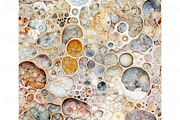 Seamless patterns with organic cells, a Pattern Graphic by Bubert Art (Thumbnail 3 of 7)