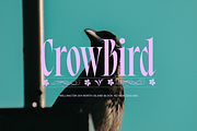 Bersa Serif | Narrow Serif, a Serif Font by Jolicia Type (Thumbnail 10 of 16)
