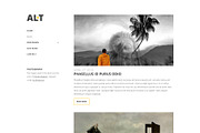 Alternate - Portfolio WP Theme, a WordPress Template by Viva Themes (Thumbnail 2 of 3)