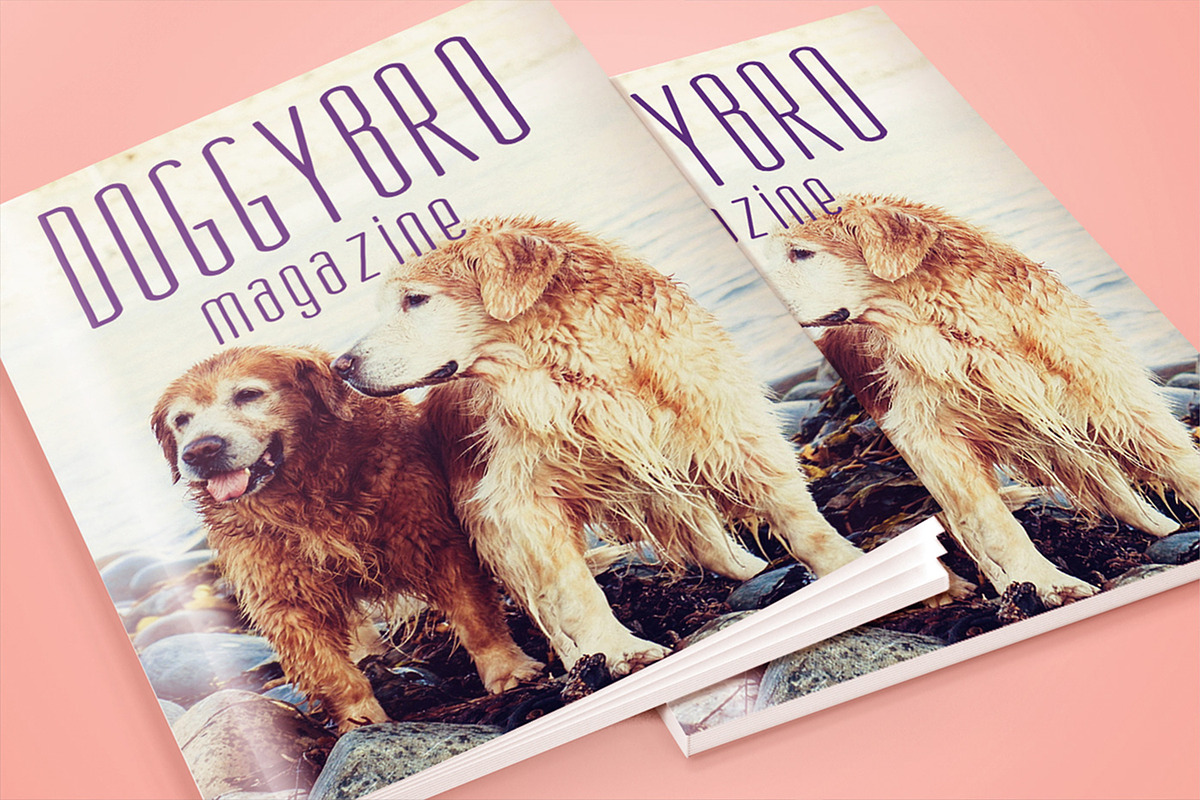 Oliver - modern font - three version, a Serif Font by Vintage Font Lab (Photo 11 of 13)
