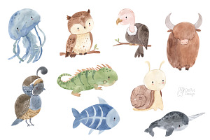 ALPHABET ANIMALS Clipart. Watercolor