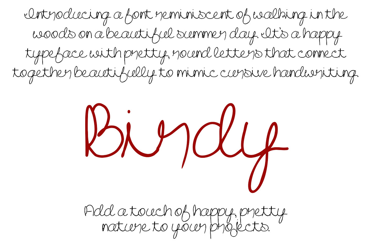 Font Birdy Cursive Script Fun Cute, a Script Font by PageLightStudios (Photo 3 of 5)
