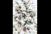 White Christmas tree photo BUNDLE, a Holiday Photo by TruElegance Photos (Thumbnail 5 of 5)
