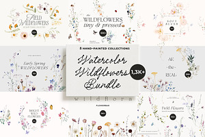 Watercolor Wildflowers Bundle, a Decorative Illustration by Lana Elanor