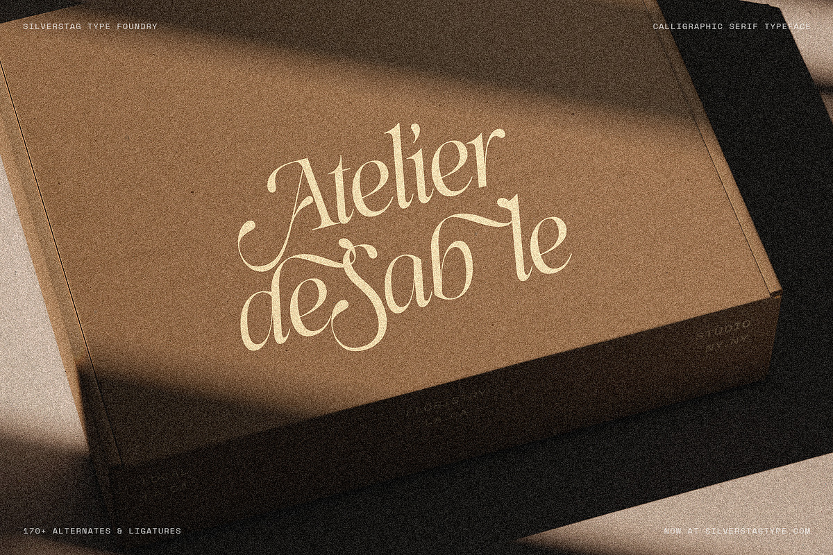 Netsera Calligraphic Serif Typeface, a Serif Font by SilverStag Type Foundry (Photo 14 of 30)