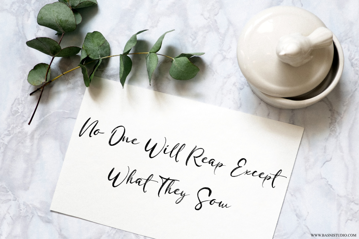 Boston Brush | Brush font, a Script Font by Basnistudio (Photo 4 of 7)