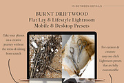 Flat Lay Lifestyle Lightroom Presets, an Action Add-On by in between details (Thumbnail 13 of 13)