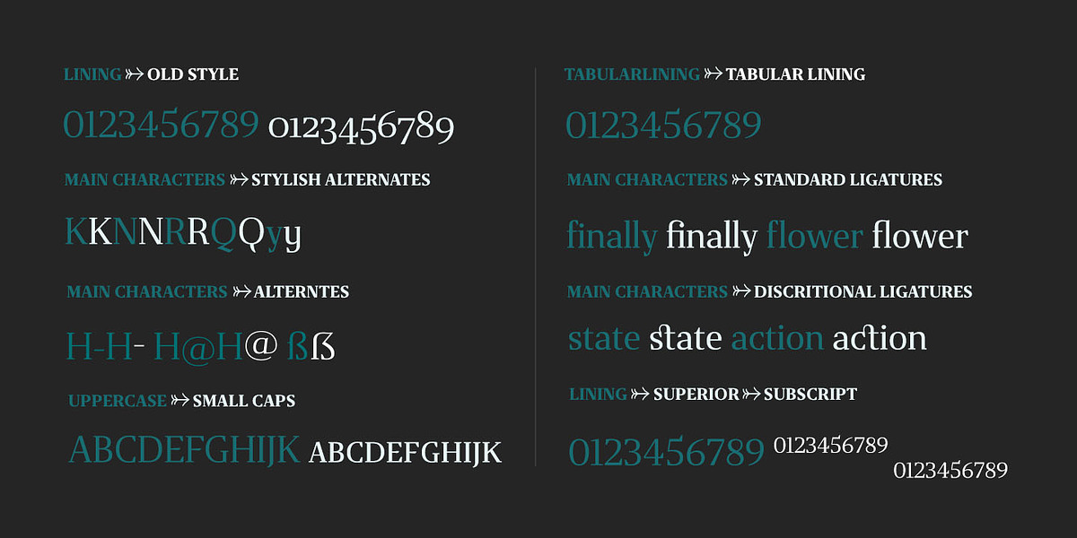 Gazeta, a Serif Font by Vanarchiv (Photo 7 of 7)