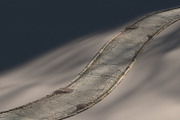 Cracked asphalt path, a Textures & Material 3D Model by happy brush (Thumbnail 3 of 7)