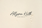 Charlotte Stylish Modern Calligraphy, a Handwritten Font by Myn Type (Thumbnail 5 of 19)