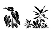 Minimal Botanical Leaf Silhouette Bu, an Illustration by Creativeshirt (Thumbnail 7 of 51)