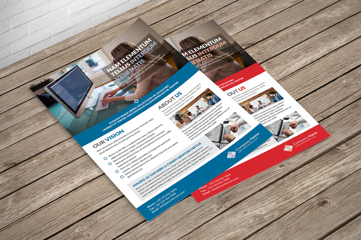 Product Promotion Flyer Template, a Flyer Template by JanySultana (Photo 3 of 6)
