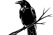 50 Premium Silhouette Vector Icon Bu, an Illustration by Designer_Momina (Thumbnail 13 of 17)