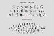 Pigade | handwritten font, a Script Font by Scratchones (Thumbnail 6 of 7)