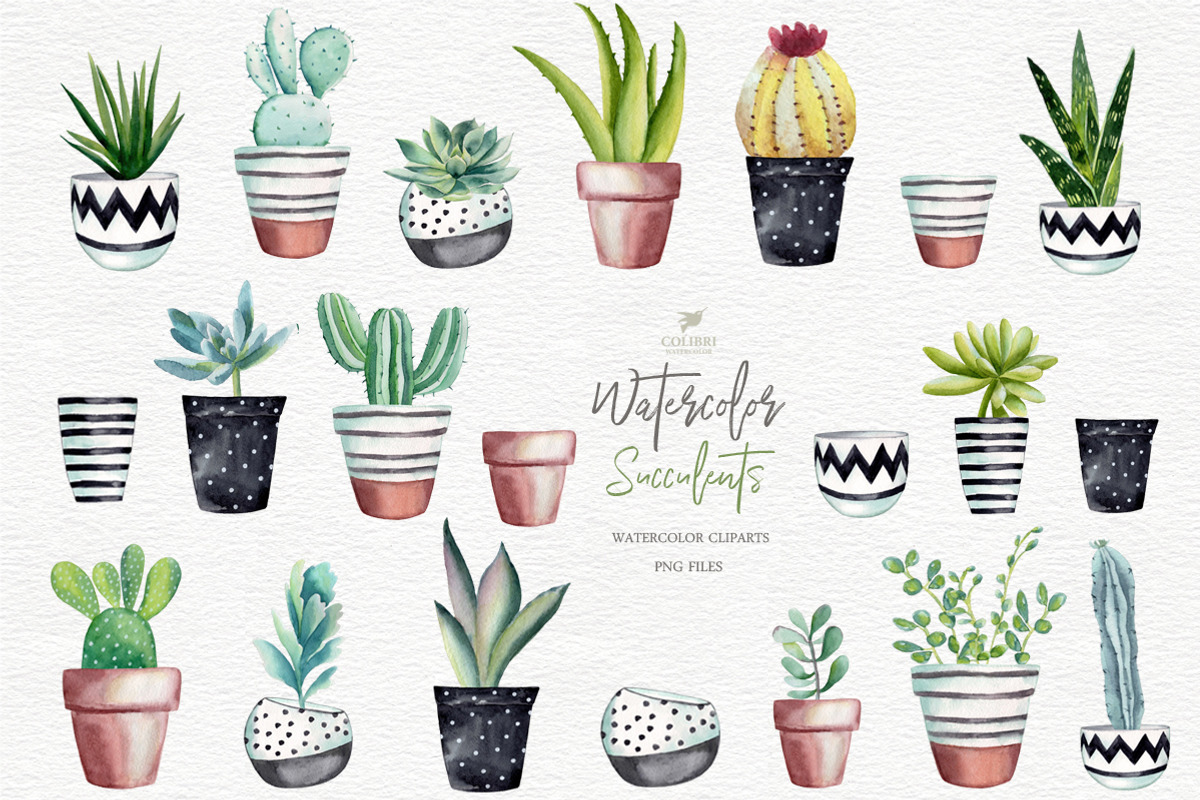Cactus clipart with pots, a Decorative Illustration by Colibri Watercolor (Photo 1 of 5)
