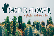 Cactus Flower, a Serif Font by Kelly Fisher Designs (Thumbnail 1 of 5)