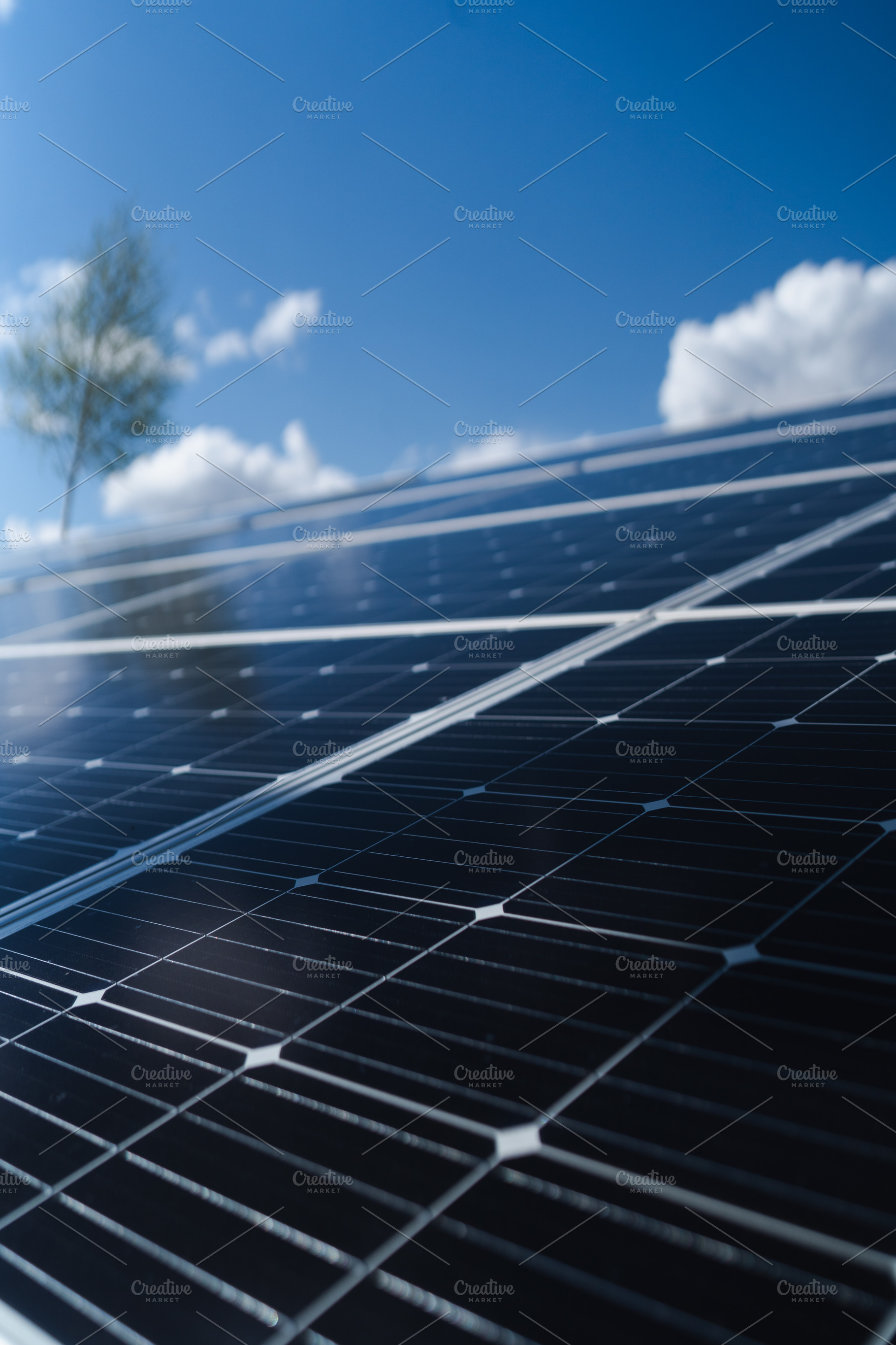 Solar panels on a farm, a Photo by Andrii Borodai