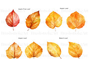 Fall Leaves Clipart, Autumn Leaf PNG, a Decorative Illustration by BrushstrokeArtGB (Thumbnail 6 of 9)