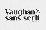 Vaughan Sans, a Sans Serif Font by FactoryType Studio (Thumbnail 1 of 12)