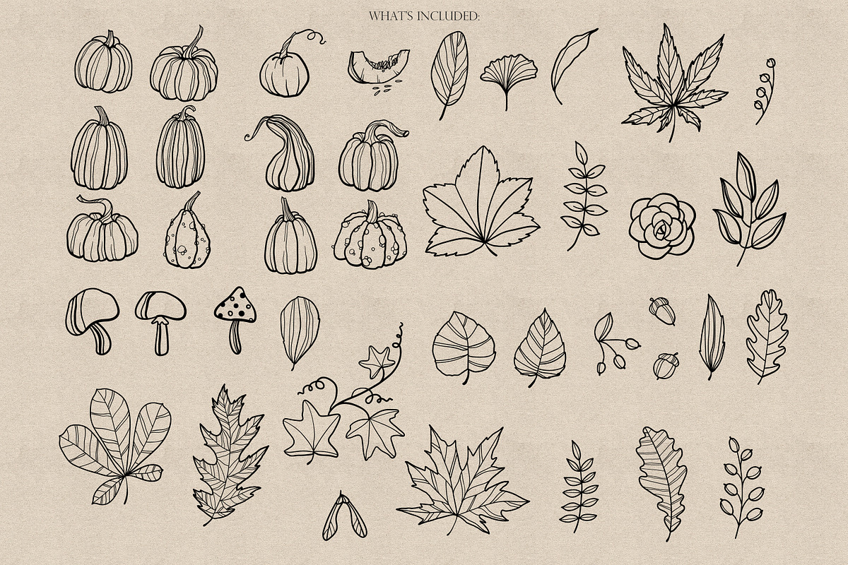 Procreate Autumn Doodle Stamps Brush, a Brush Add-On by Dervik Art Store (Photo 3 of 5)