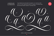 Delirian Script & Ornaments, a Script Font by Andrey Sharonov (Thumbnail 9 of 16)