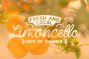 Seaside Ink · Display Font Duo, a Font by Courtney Gosser Design (Thumbnail 8 of 9)