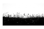 versatile nature-themed silhouettes, an Illustration by Amazin_art (Thumbnail 31 of 31)