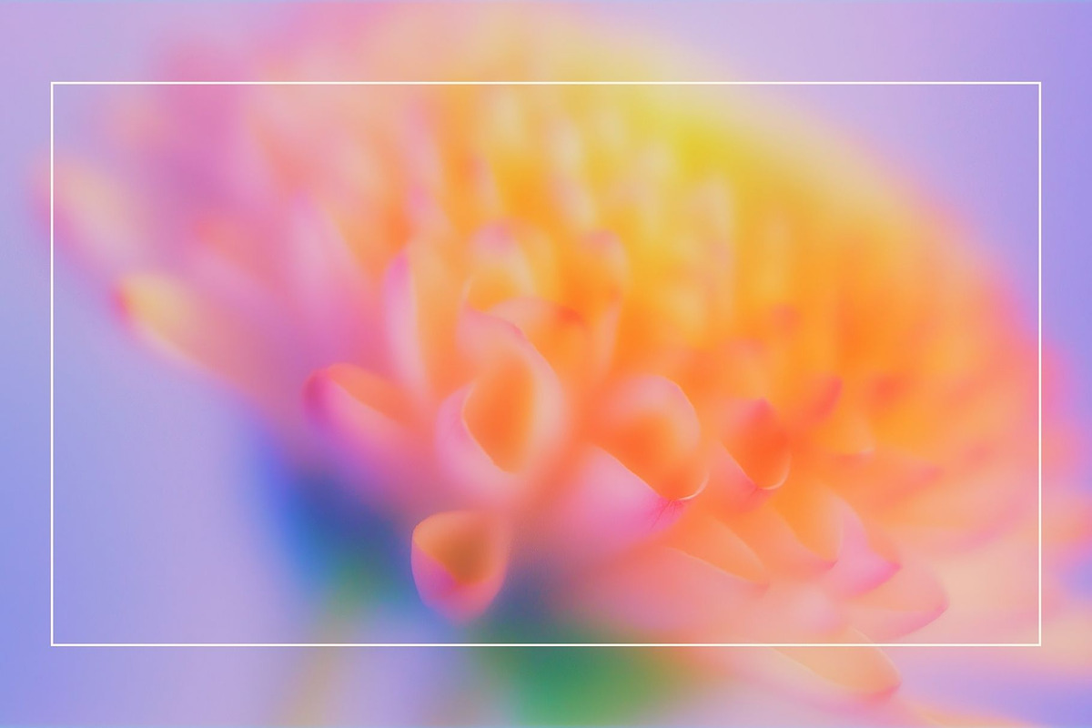 Blurred Floral Ethereal Backgrounds, a Background Graphic by Anzhelika (Photo 4 of 9)