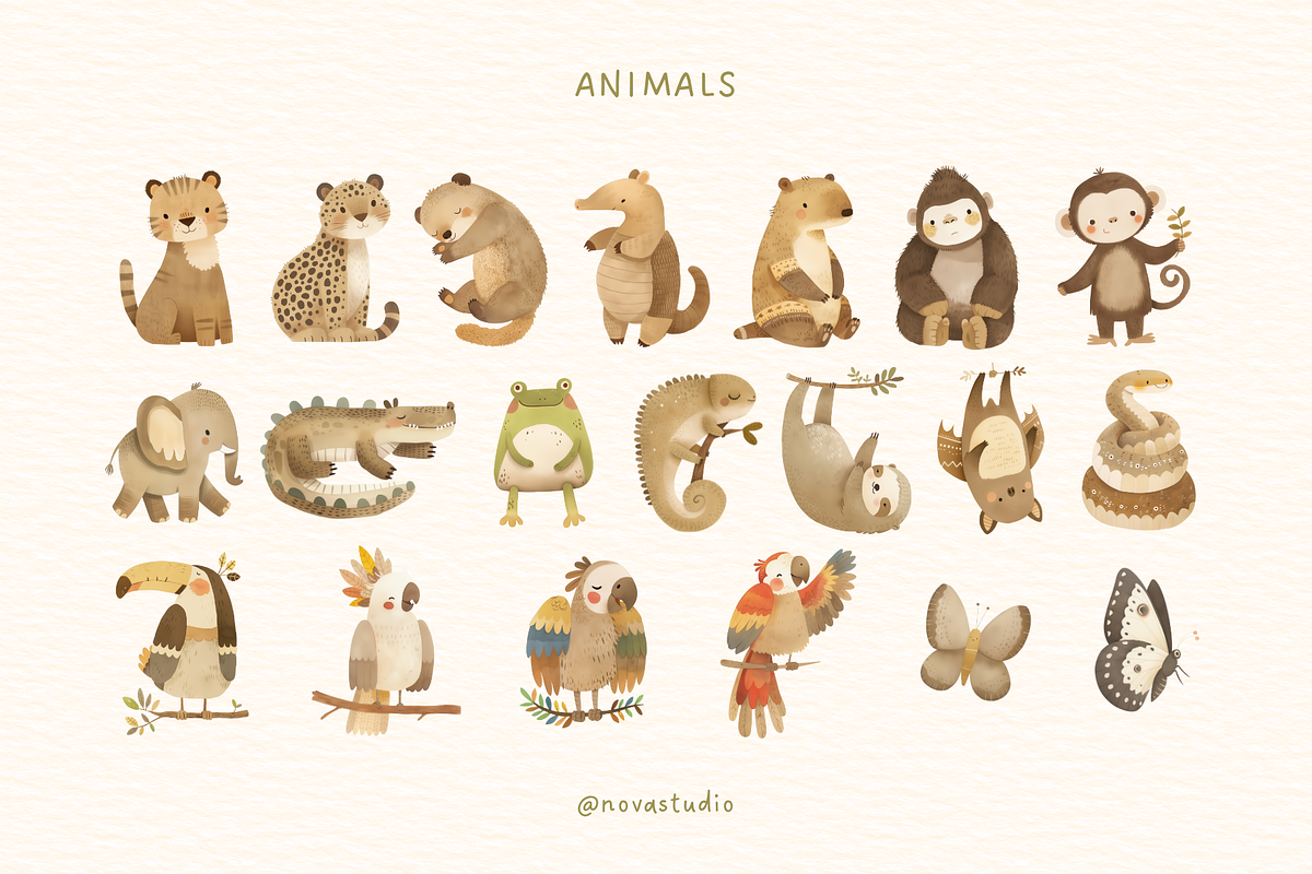 Jungle Friends Adventure – Clipart, an Animal Illustration by Nova Studio (Photo 2 of 11)
