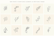 Hand Drawn Floral Elements. Frames, a Seasonal Illustration by Designwork (Thumbnail 18 of 22)