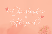Askern - Delicate Script, a Script Font by The Traveling Fox (Thumbnail 3 of 6)