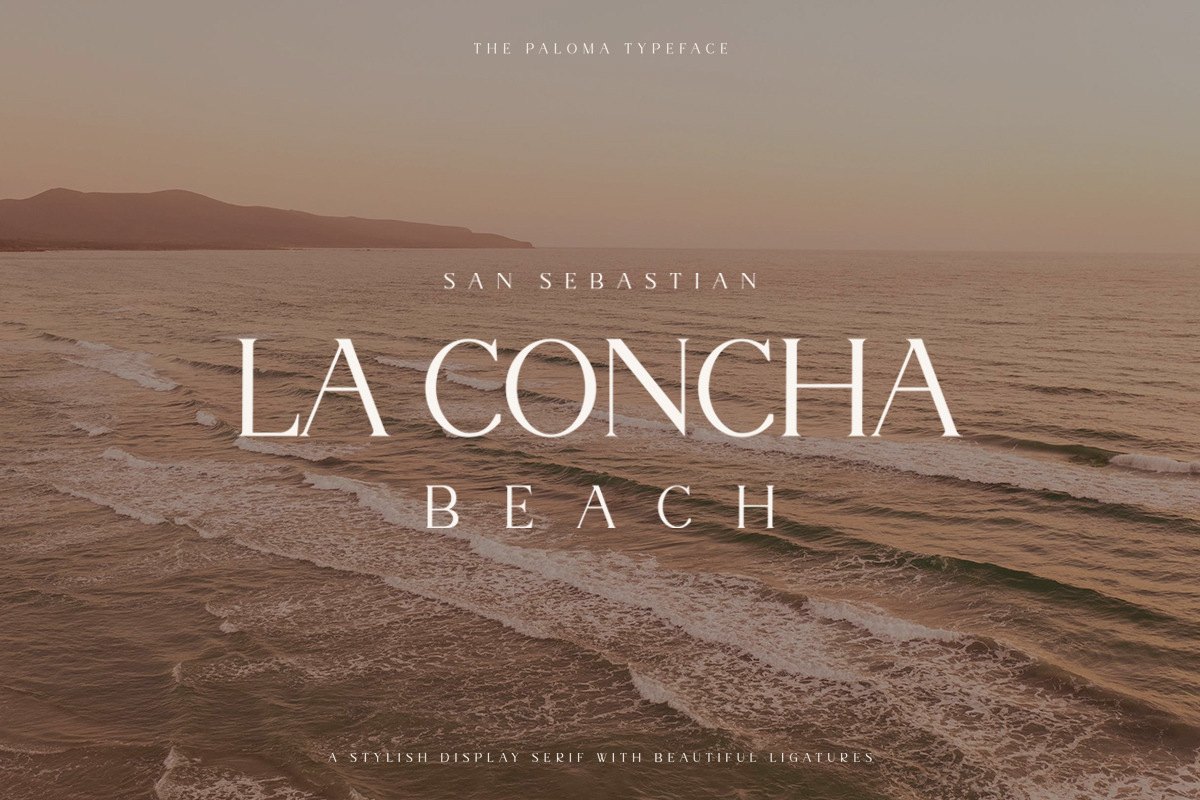 The Paloma - Modern Serif Font, a Serif Font by TypeFounder (Photo 5 of 10)