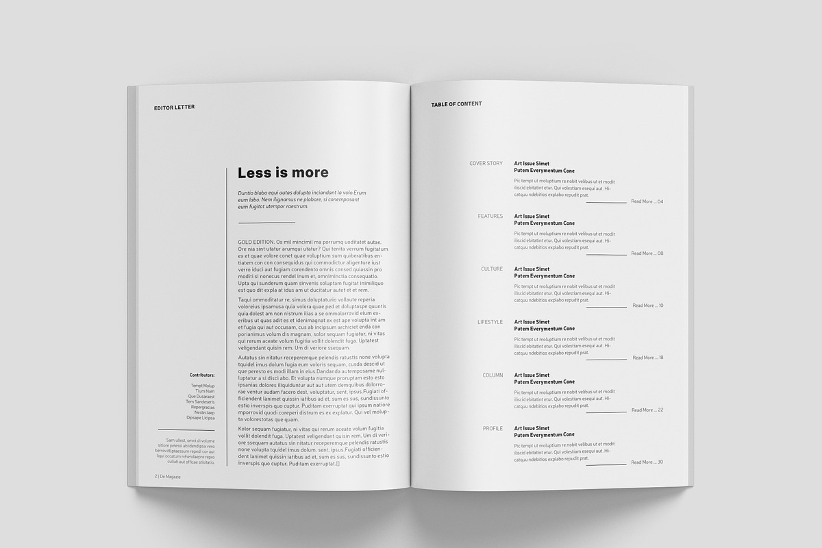 Simple Magazine Template, a Magazine Template by Bookrak Graphic Design (Photo 2 of 17)