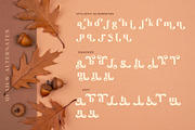 Quails | A Modern Display Serif, a Serif Font by Andrimada Creative (Thumbnail 12 of 13)