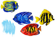 set of watercolor fish and shells, an Animal Illustration by art_mouse (Thumbnail 4 of 7)