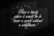 Caden Love Modern Calligraphy, a Handwritten Font by RHD Creative Studio (Thumbnail 2 of 12)