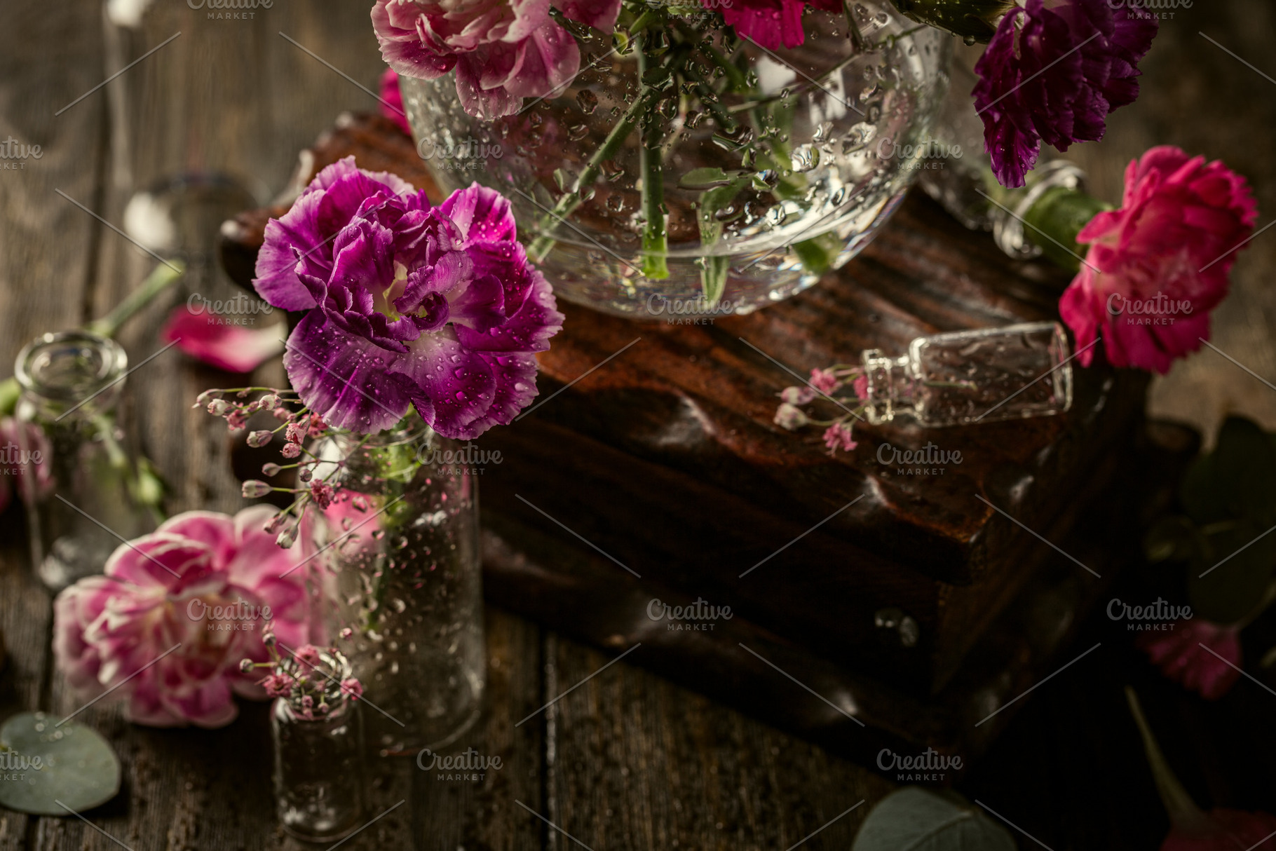 Beautiful purple carnation in glass featuring carnation, flower, and purple, a Holiday Photo by Iryna Melnyk Photography