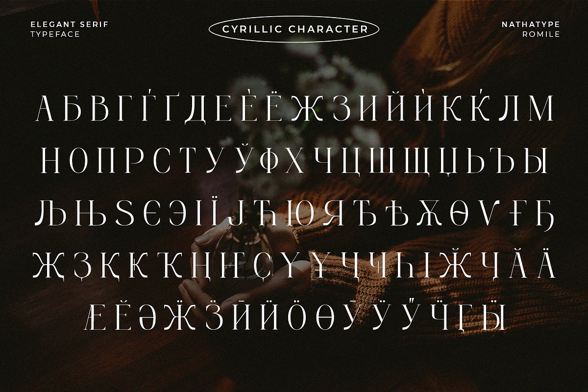 Romile, a Serif Font by Nathatype (Photo 12 of 12)