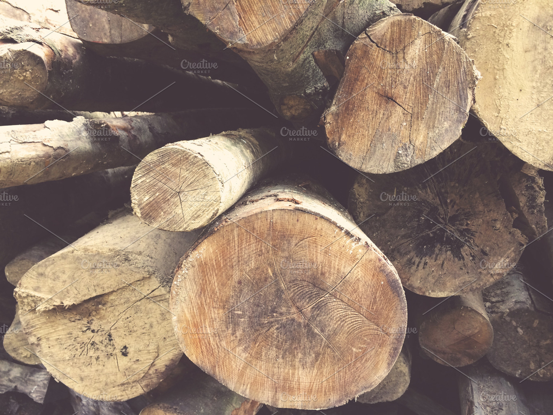 Stacked Wood Logs Featuring Branch Campfire And Chopped