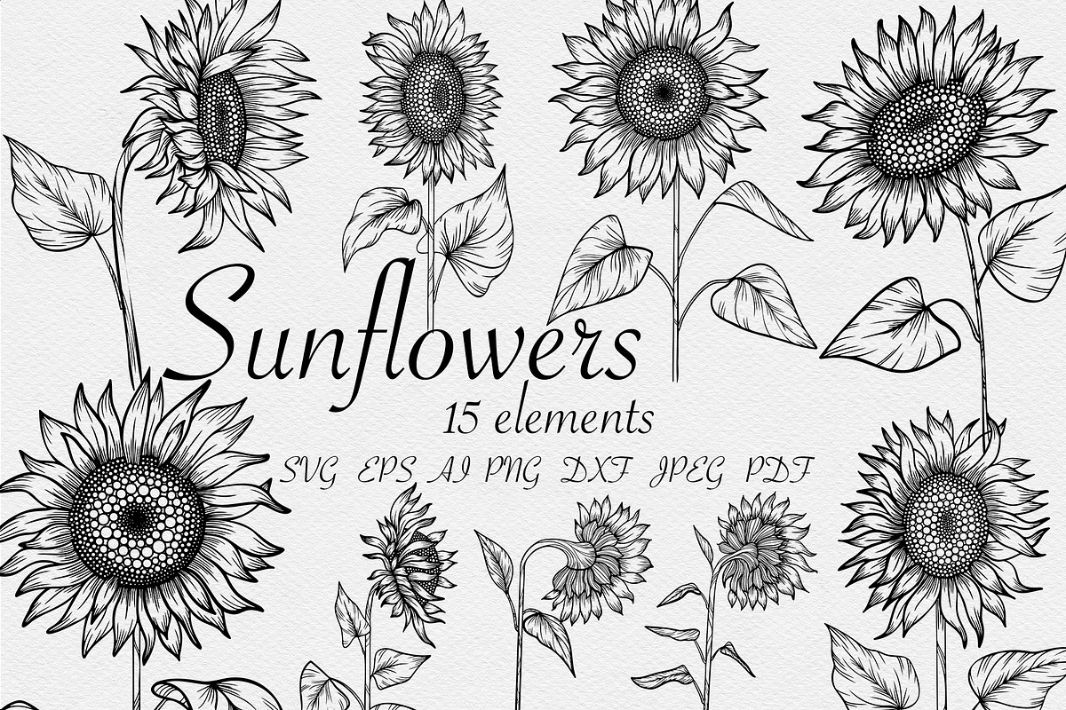 Sunflowers set SVG, an Object Graphic by mArtstore (Photo 1 of 6)