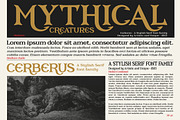 Cerberus - Serif font family, a Serif Font by Artistic & Unique (Thumbnail 7 of 15)