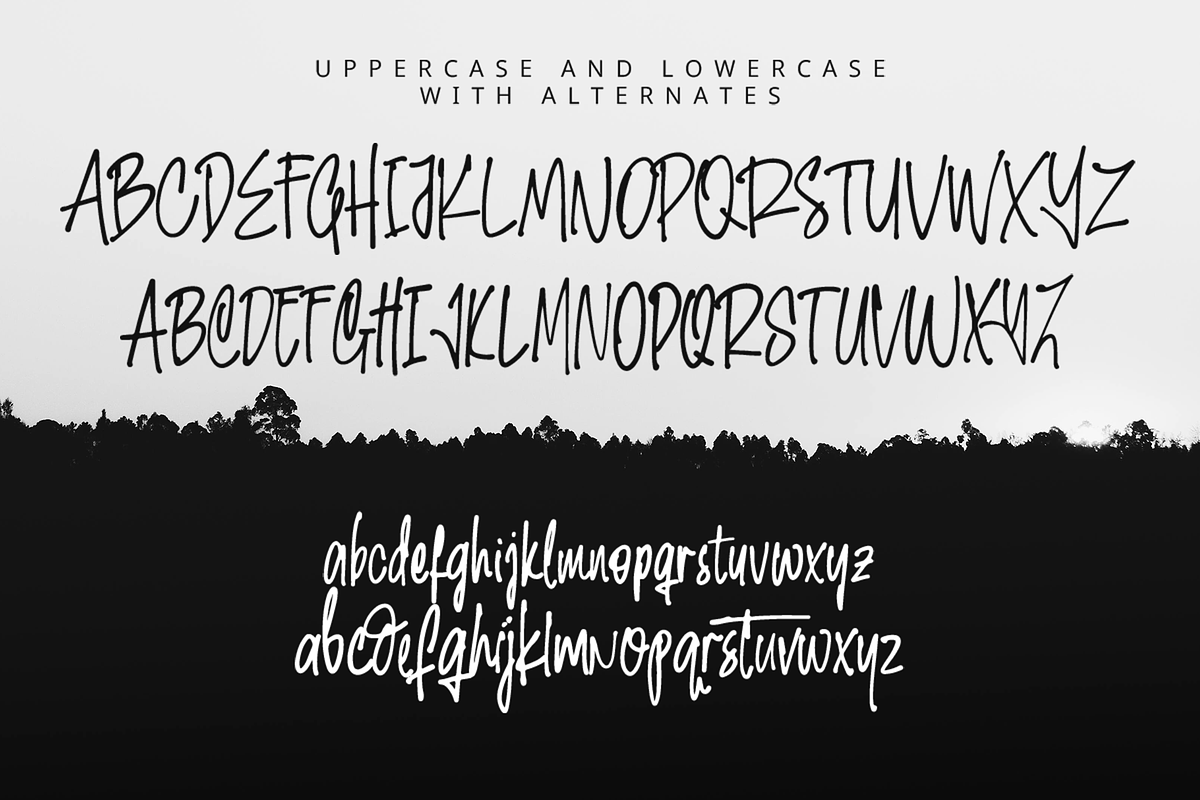 Handicart – A Charming Handwritten, a Handwritten Font by overlaytemplates (Photo 4 of 6)