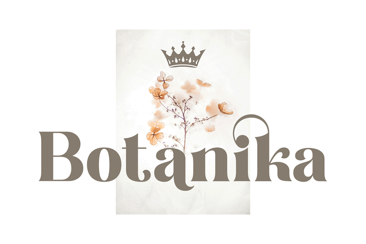 Claresicha - Serif Display Font, a Serif Font by overlaytemplates (Photo 4 of 6)