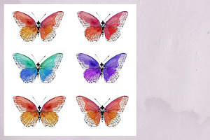 Graphic Hand Painting Butterfly