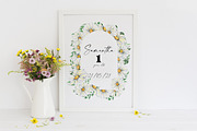 Watercolor Daisies, an Object Illustration by Olga Koelsch (Thumbnail 6 of 12)