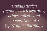 Imperial Aureas a Minimal Serif, a Serif Font by Lettertype Studio (Thumbnail 6 of 16)