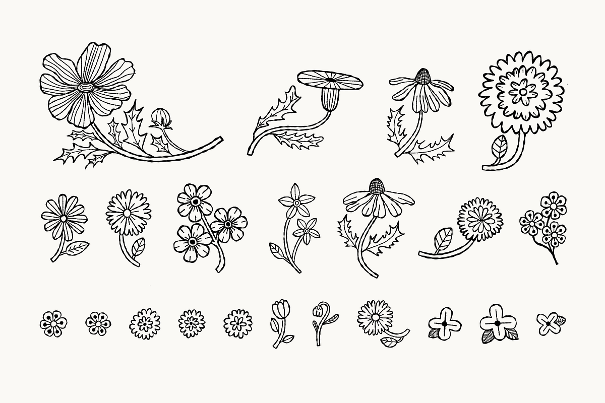 Wildflowers Illustration Bundle, a Decorative Illustration by Hillustrations (Photo 2 of 3)