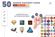 50 Human Anatomy Icons, an Icon by Dighital (Thumbnail 9 of 10)