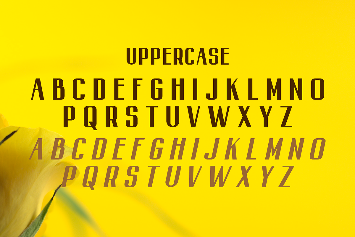 La Taverna, a Sans Serif Font by almazstudio (Photo 5 of 7)