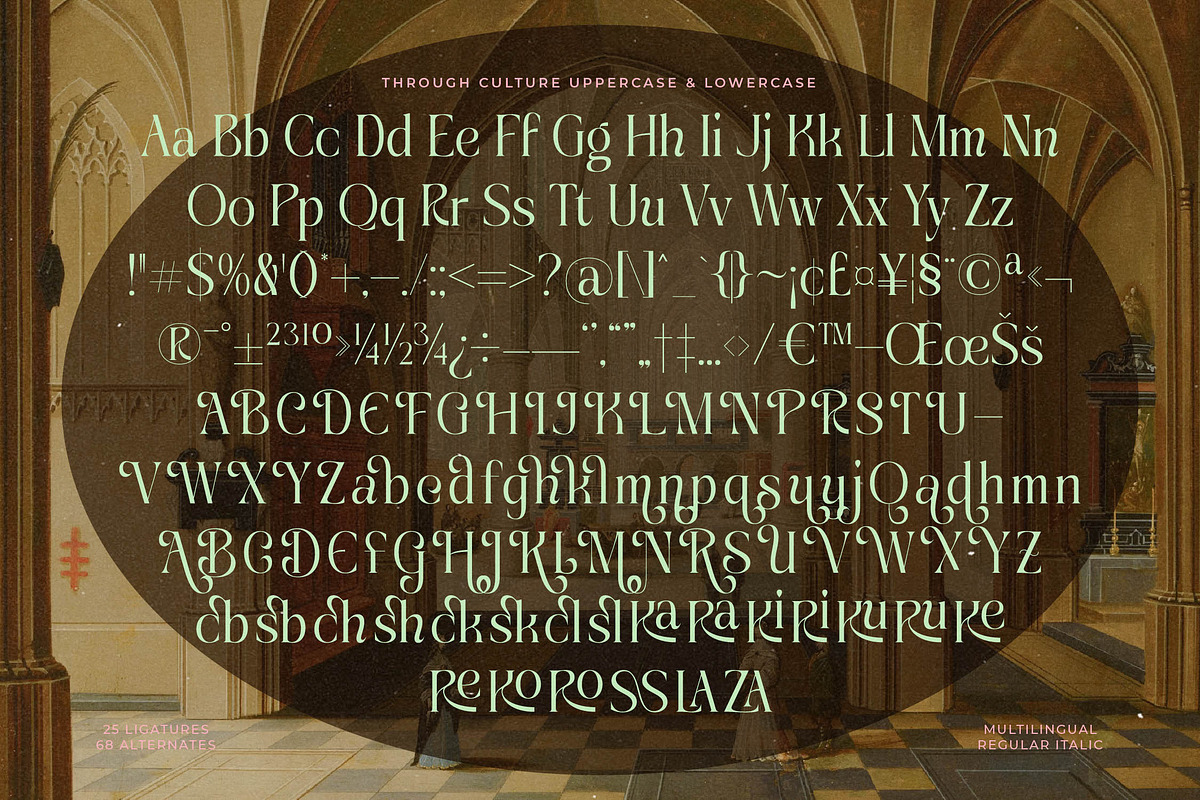 Through Culture Modern Serif, a Serif Font by timelesstype.co (Photo 15 of 15)
